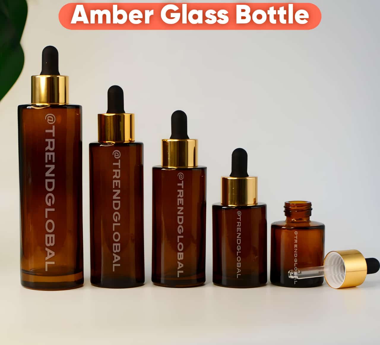 WhatsApp Image 2025-11-07 at 16.42.25